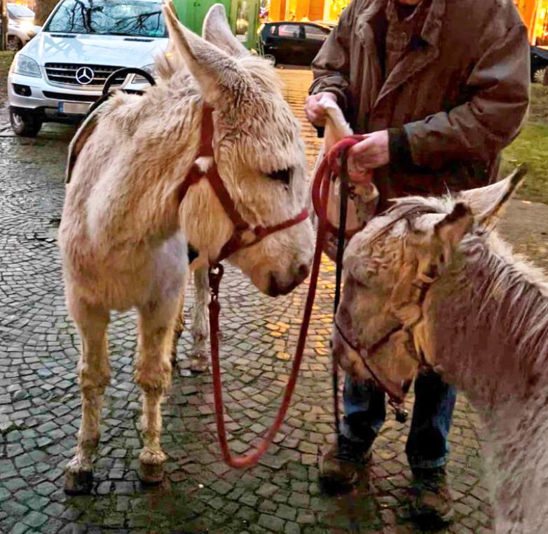 Weg zur Krippe