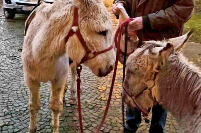 Weg zur Krippe