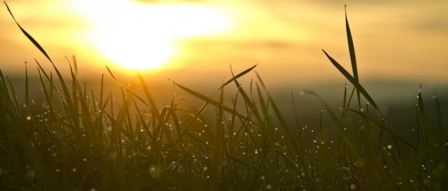 Sonnenaufgang