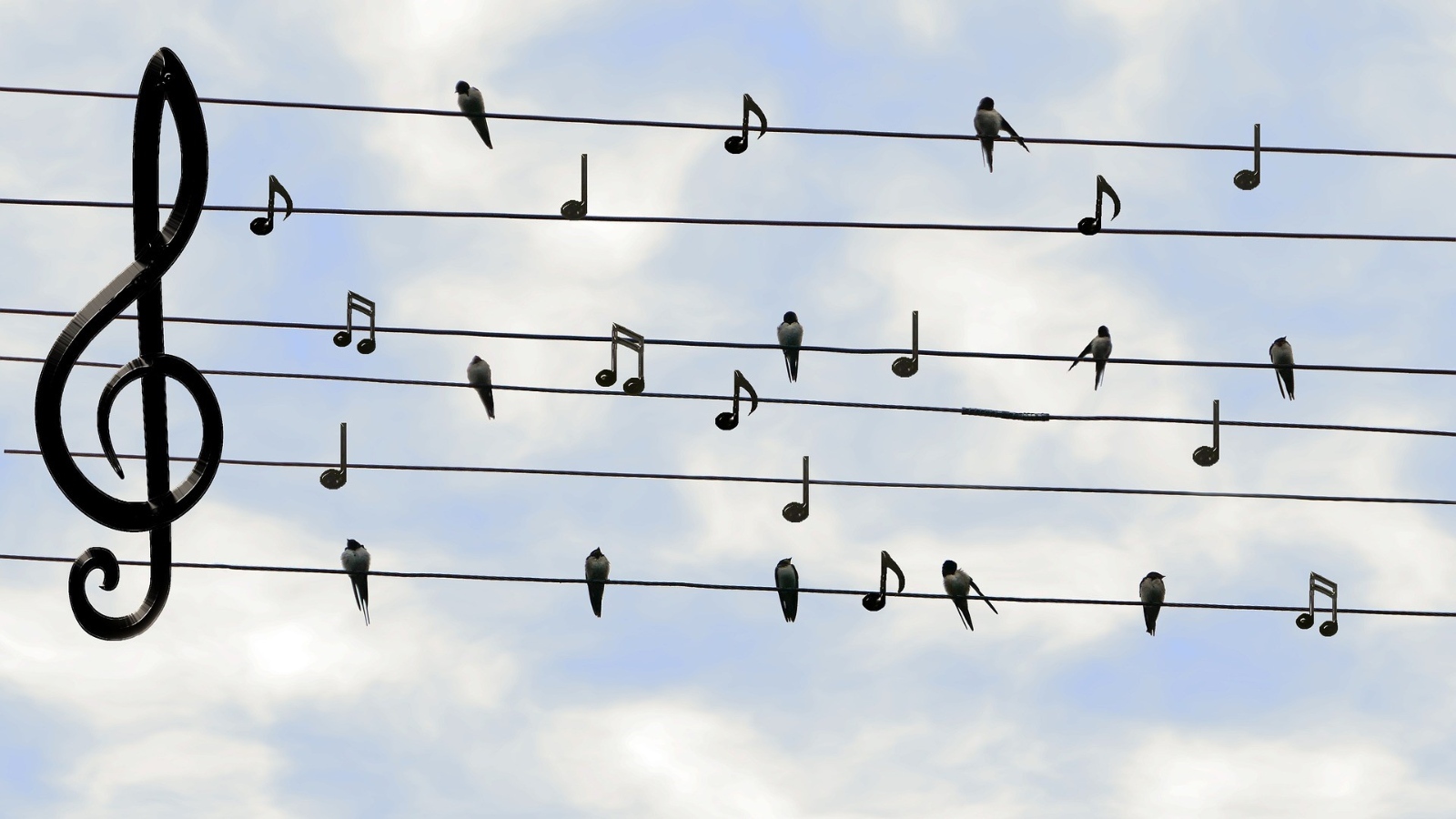 birds-gbc6515d29_1920