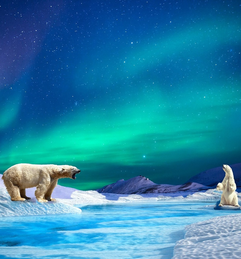 aurora