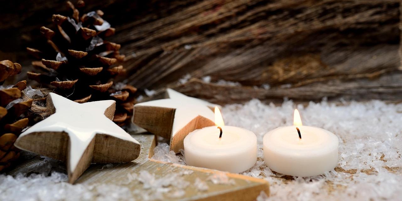 congerdesign by Pixabay