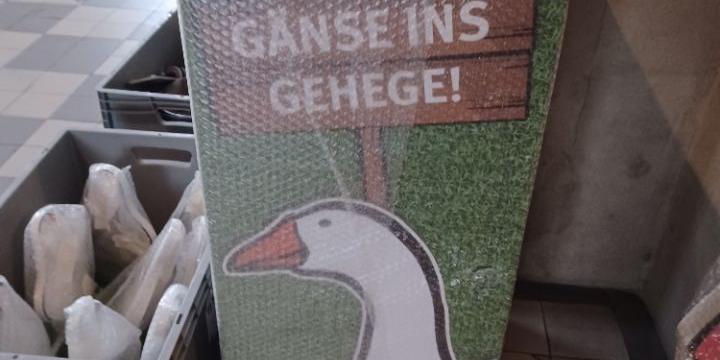 Ausstellung Zwischen Himmel und Erde neue Station St. Martin_Gänse ins Gehege