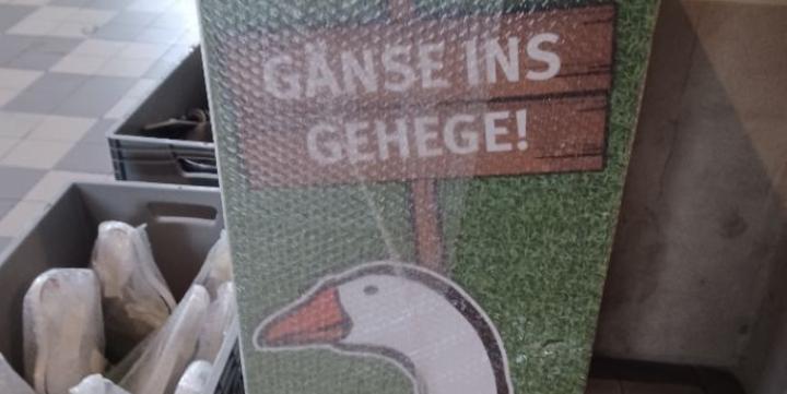 Ausstellung Zwischen Himmel und Erde neue Station St. Martin_Gänse ins Gehege