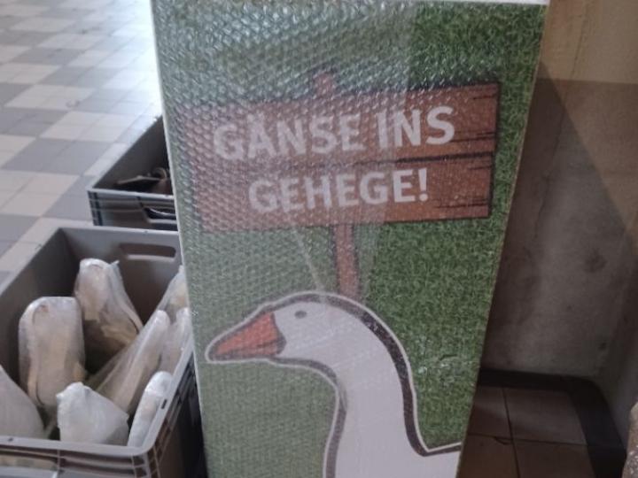 Ausstellung Zwischen Himmel und Erde neue Station St. Martin_Gänse ins Gehege