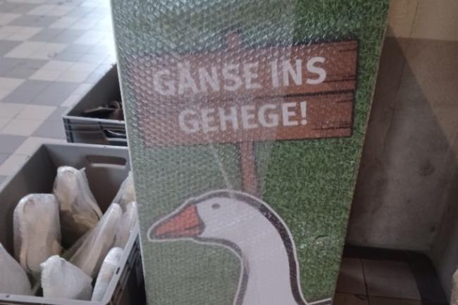 Ausstellung Zwischen Himmel und Erde neue Station St. Martin_Gänse ins Gehege