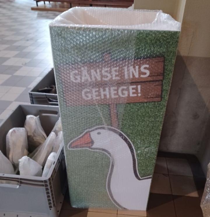 Ausstellung Zwischen Himmel und Erde neue Station St. Martin_Gänse ins Gehege