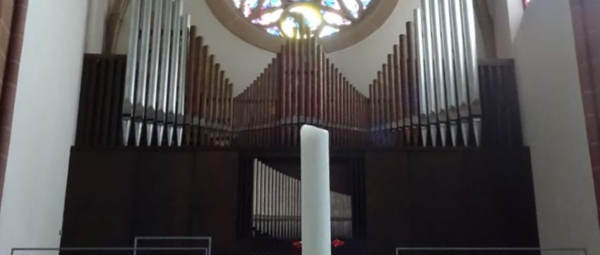 St. Apollinaris: Orgel
